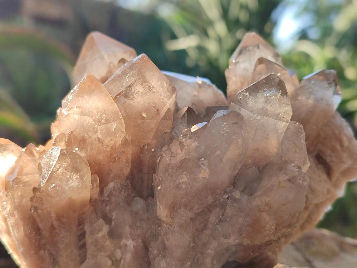 Natural Cascading White Phantom Smokey Luena Quartz Clusters x 2 From Luena, Congo - Toprock Gemstones and Minerals 