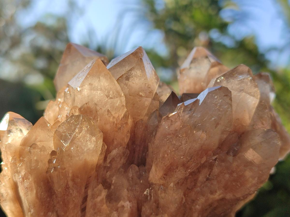 Natural Cascading White Phantom Smokey Luena Quartz Clusters x 2 From Luena, Congo