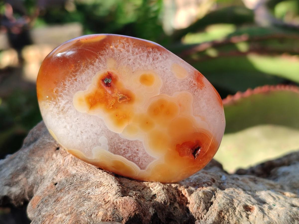 Polished Carnelian Agate Gemstone Palm Stones x 16 From Madagascar - Toprock Gemstones and Minerals 