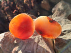 Polished Carnelian Agate Gemstone Palm Stones x 16 From Madagascar - Toprock Gemstones and Minerals 