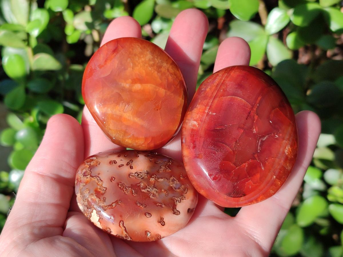 Polished Carnelian Agate Gemstone Palm Stones x 16 From Madagascar - Toprock Gemstones and Minerals 