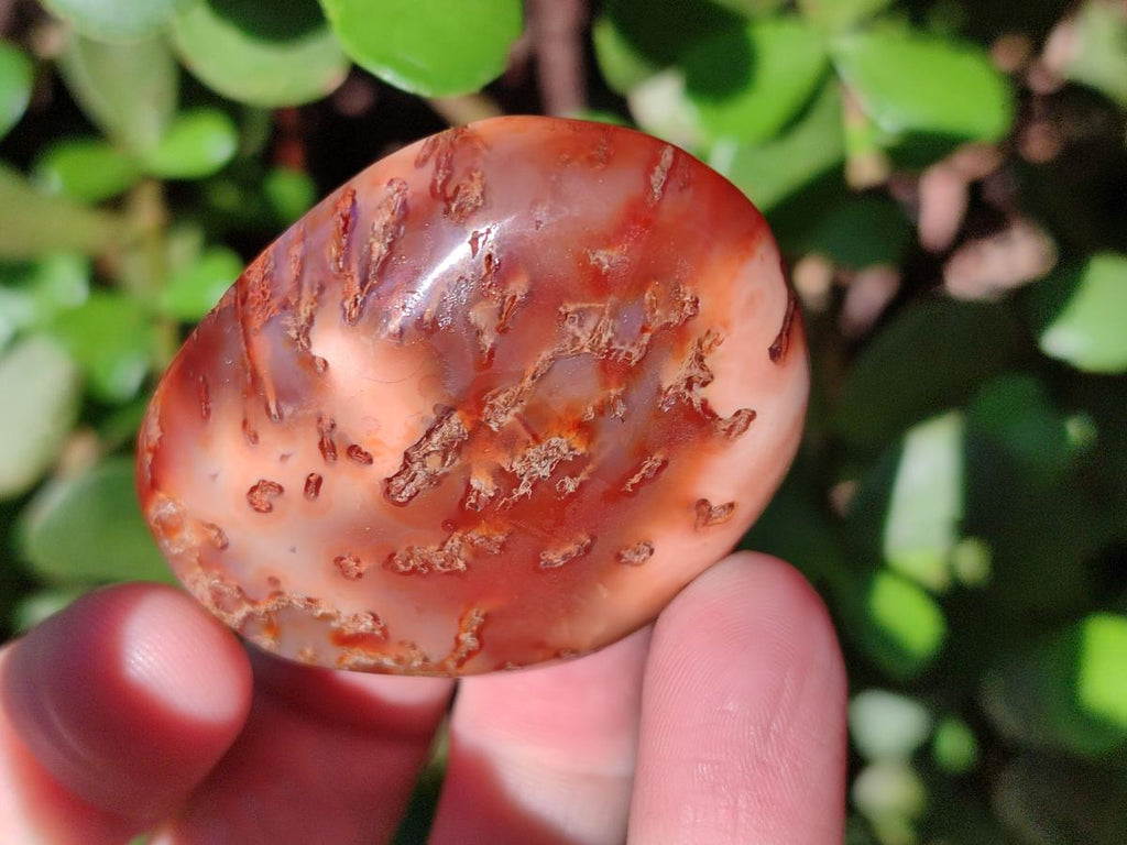 Polished Carnelian Agate Gemstone Palm Stones x 16 From Madagascar - Toprock Gemstones and Minerals 