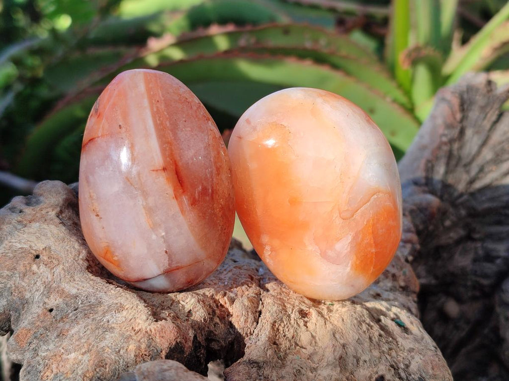 Polished Carnelian Agate Gemstone Palm Stones x 16 From Madagascar - Toprock Gemstones and Minerals 
