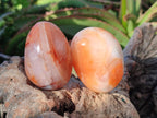 Polished Carnelian Agate Gemstone Palm Stones x 16 From Madagascar - Toprock Gemstones and Minerals 