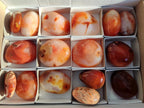 Polished Carnelian Agate Gemstone Palm Stones x 16 From Madagascar - Toprock Gemstones and Minerals 