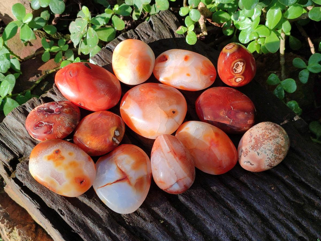 Polished Carnelian Agate Gemstone Palm Stones x 16 From Madagascar - Toprock Gemstones and Minerals 