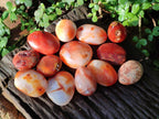 Polished Carnelian Agate Gemstone Palm Stones x 16 From Madagascar - Toprock Gemstones and Minerals 