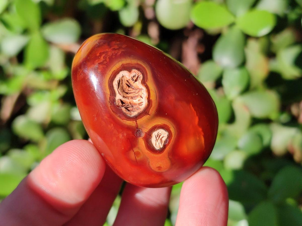Polished Carnelian Agate Gemstone Palm Stones x 16 From Madagascar - Toprock Gemstones and Minerals 