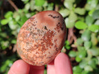 Polished Carnelian Agate Gemstone Palm Stones x 16 From Madagascar - Toprock Gemstones and Minerals 
