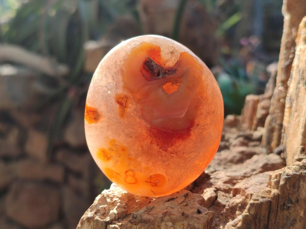 Polished Carnelian Agate Gemstone Palm Stones x 16 From Madagascar - Toprock Gemstones and Minerals 
