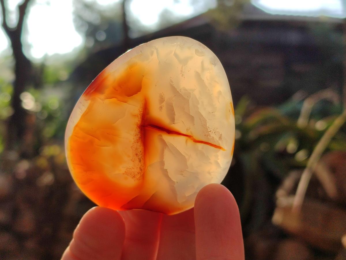 Polished Carnelian Agate Gemstone Palm Stones x 16 From Madagascar