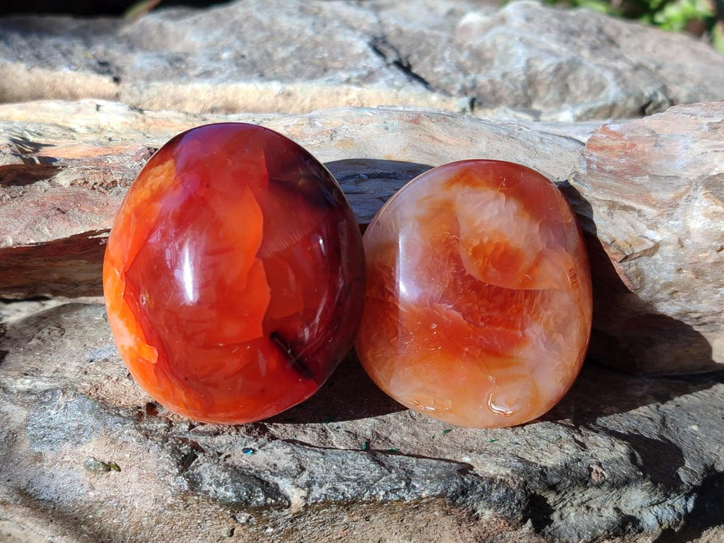 Polished Carnelian Agate Gemstone Palm Stones x 16 From Madagascar - Toprock Gemstones and Minerals 