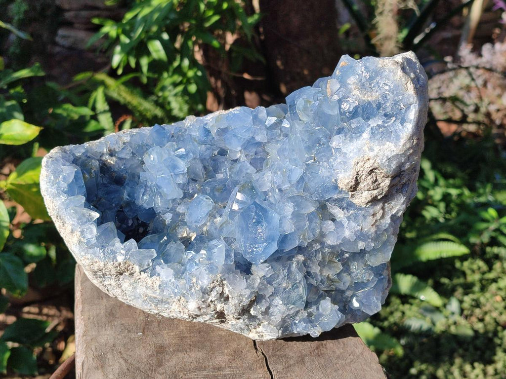 Natural Large Blue Celestite Geode Specimen x 1 From Sakoany, Madagascar - Toprock Gemstones and Minerals 