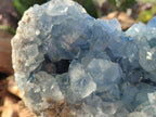 Natural Large Blue Celestite Geode Specimen x 1 From Sakoany, Madagascar - Toprock Gemstones and Minerals 