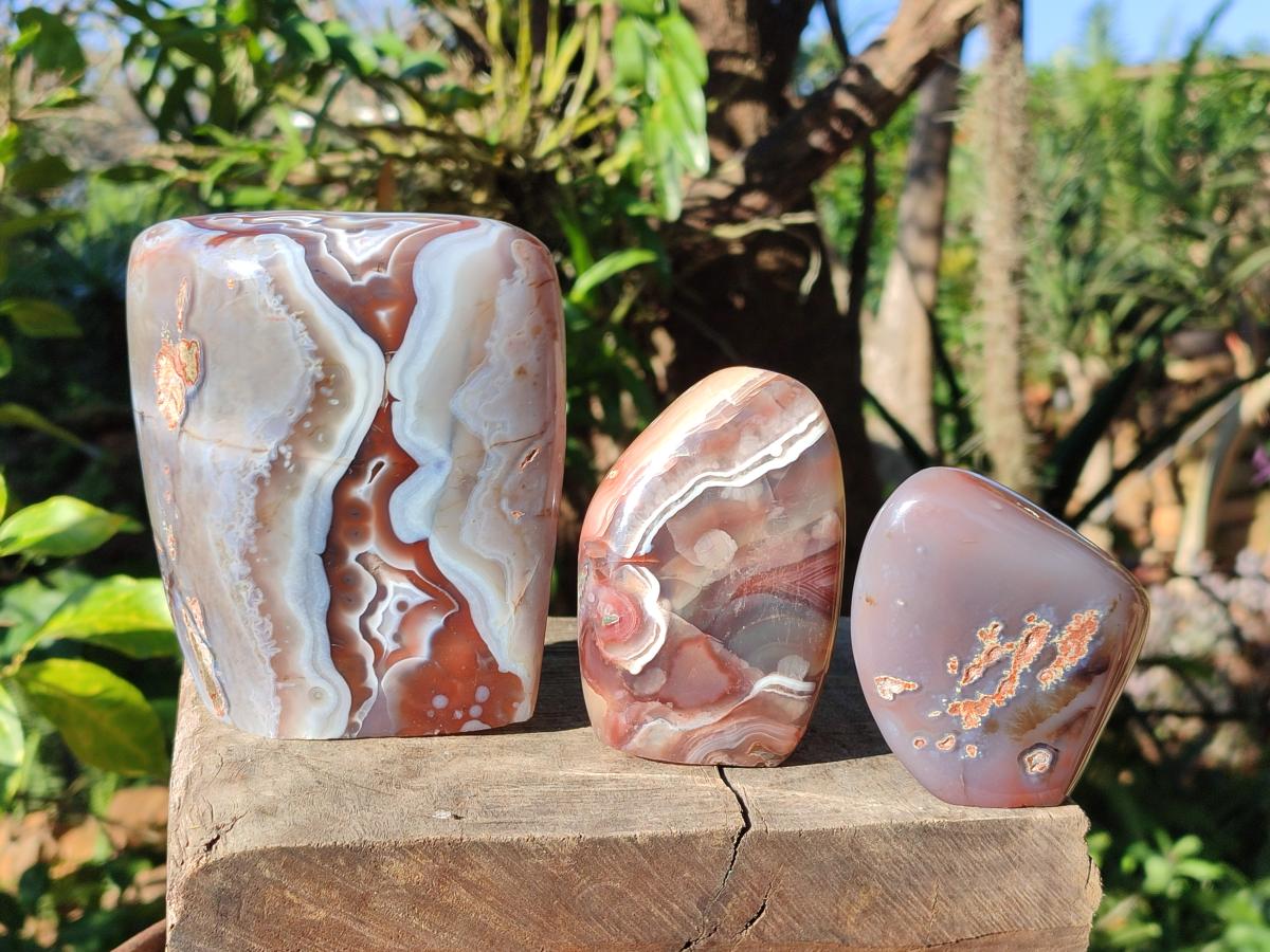 Polished Red Shashe River Agate Standing Display Pieces x 6 From Shashe River, Zimbabwe - Toprock Gemstones and Minerals 