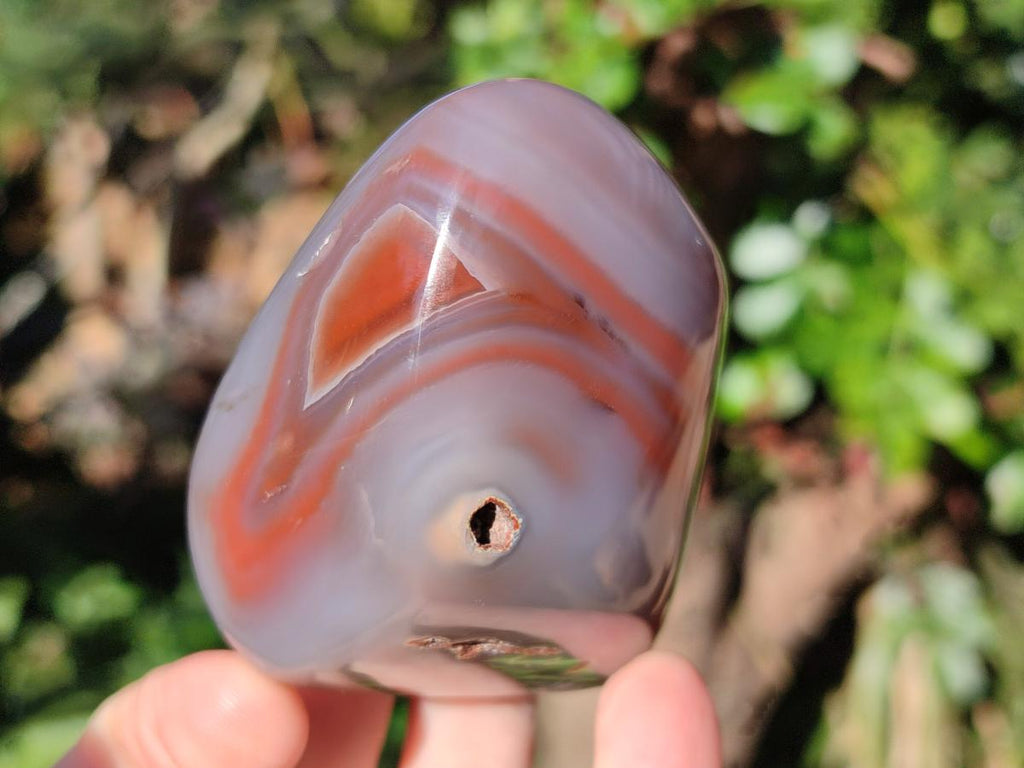 Polished Red Shashe River Agate Standing Display Pieces x 6 From Shashe River, Zimbabwe - Toprock Gemstones and Minerals 