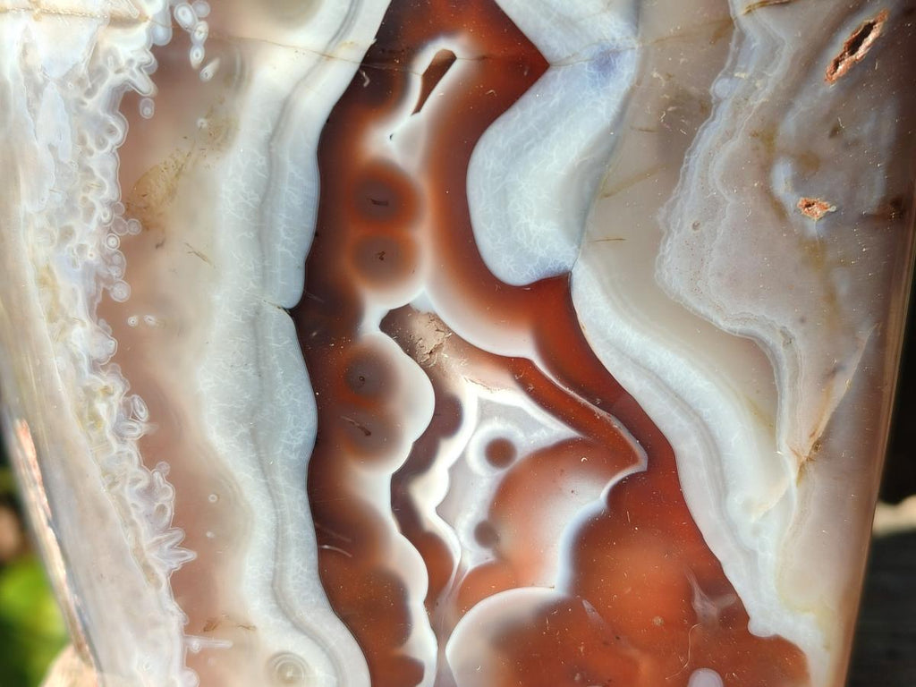 Polished Red Shashe River Agate Standing Display Pieces x 6 From Shashe River, Zimbabwe - Toprock Gemstones and Minerals 