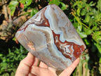 Polished Red Shashe River Agate Standing Display Pieces x 6 From Shashe River, Zimbabwe - Toprock Gemstones and Minerals 