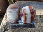 Polished Red Shashe River Agate Standing Display Pieces x 6 From Shashe River, Zimbabwe - Toprock Gemstones and Minerals 