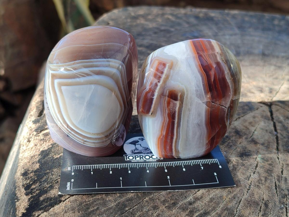 Polished Red Shashe River Agate Standing Display Pieces x 6 From Shashe River, Zimbabwe - Toprock Gemstones and Minerals 