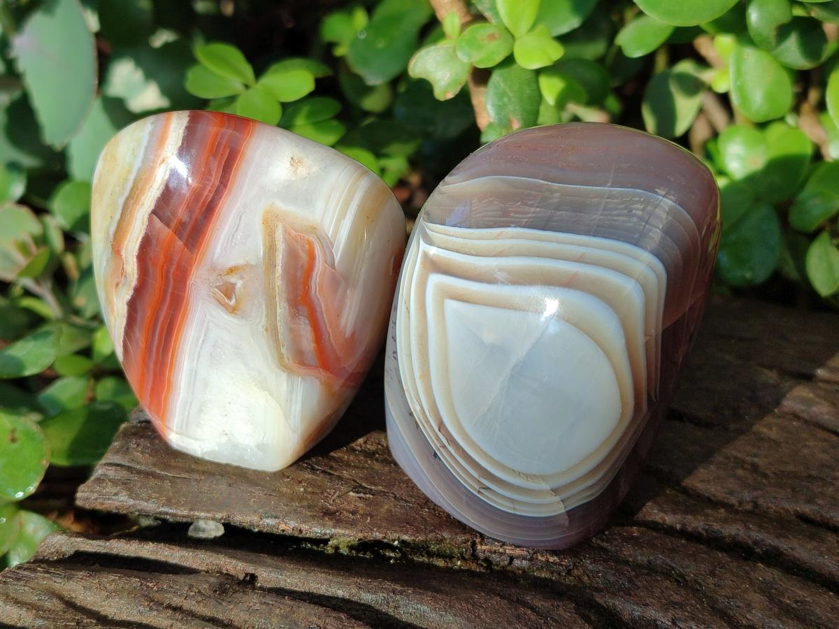 Polished Red Shashe River Agate Standing Display Pieces x 6 From Shashe River, Zimbabwe - Toprock Gemstones and Minerals 