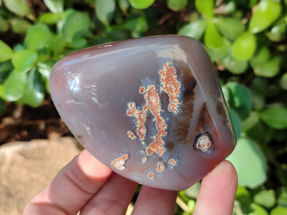 Polished Red Shashe River Agate Standing Display Pieces x 6 From Shashe River, Zimbabwe - Toprock Gemstones and Minerals 