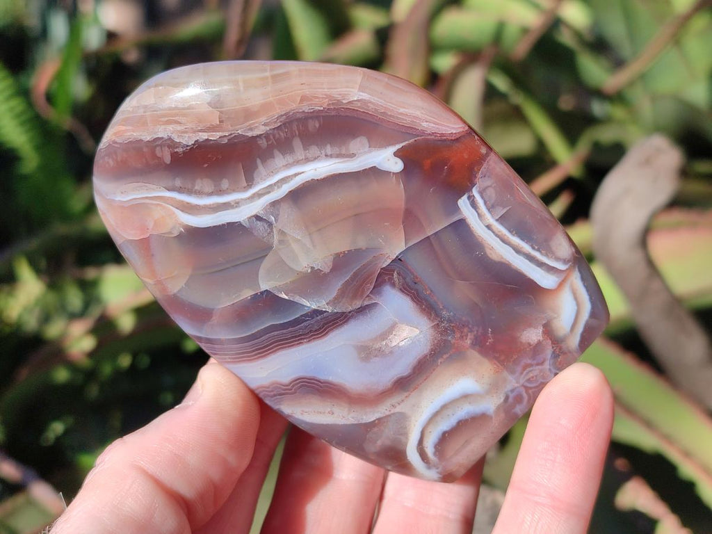 Polished Red Shashe River Agate Standing Display Pieces x 6 From Shashe River, Zimbabwe - Toprock Gemstones and Minerals 