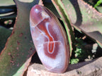Polished Red Shashe River Agate Standing Display Pieces x 6 From Shashe River, Zimbabwe - Toprock Gemstones and Minerals 