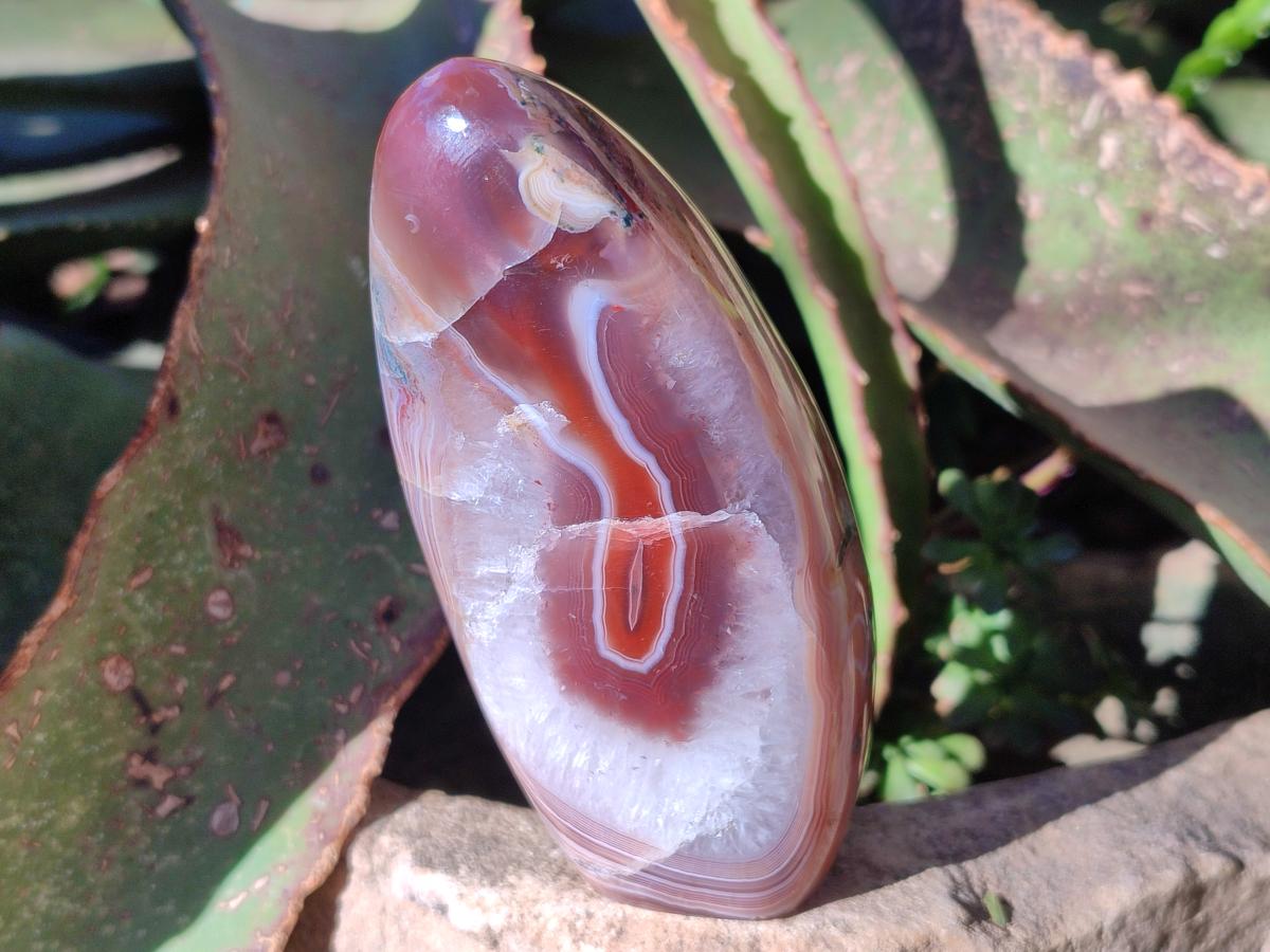 Polished Red Shashe River Agate Standing Display Pieces x 6 From Shashe River, Zimbabwe - Toprock Gemstones and Minerals 