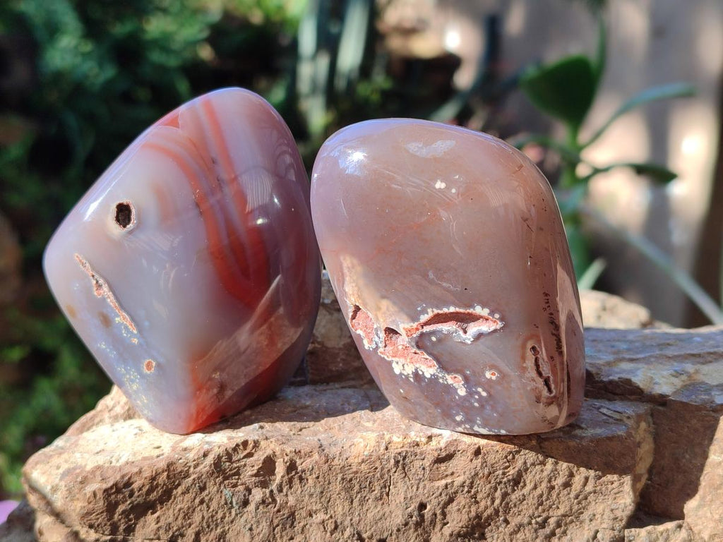 Polished Red Shashe River Agate Standing Display Pieces x 6 From Shashe River, Zimbabwe - Toprock Gemstones and Minerals 