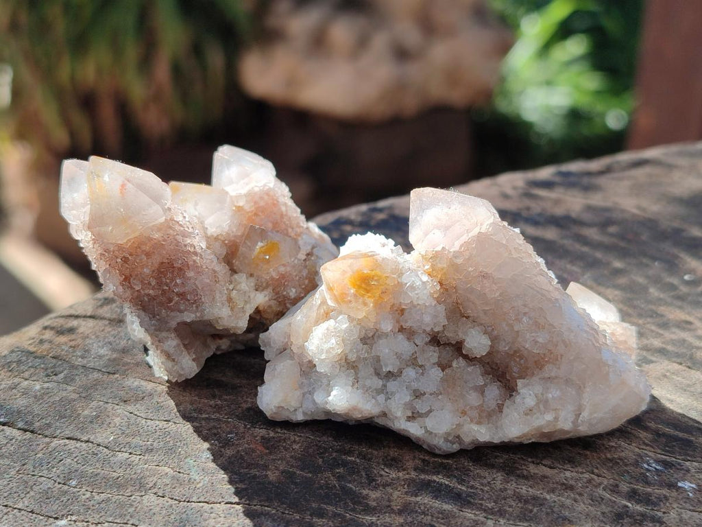 Natural Smokey Fairy Spirit Quartz Crystals and Clusters with Hematoid Coating x 25 From Boekenhouthoek, South Africa - Toprock Gemstones and Minerals 