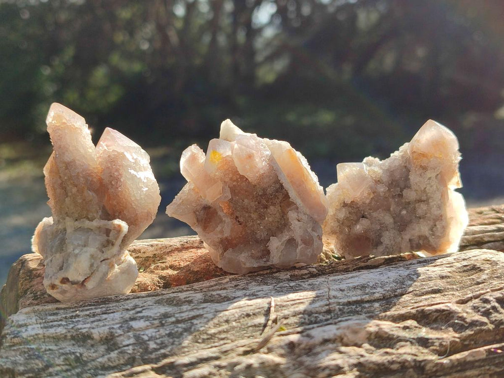 Natural Smokey Fairy Spirit Quartz Crystals and Clusters with Hematoid Coating x 25 From Boekenhouthoek, South Africa - Toprock Gemstones and Minerals 