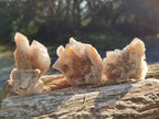 Natural Smokey Fairy Spirit Quartz Crystals and Clusters with Hematoid Coating x 25 From Boekenhouthoek, South Africa - Toprock Gemstones and Minerals 
