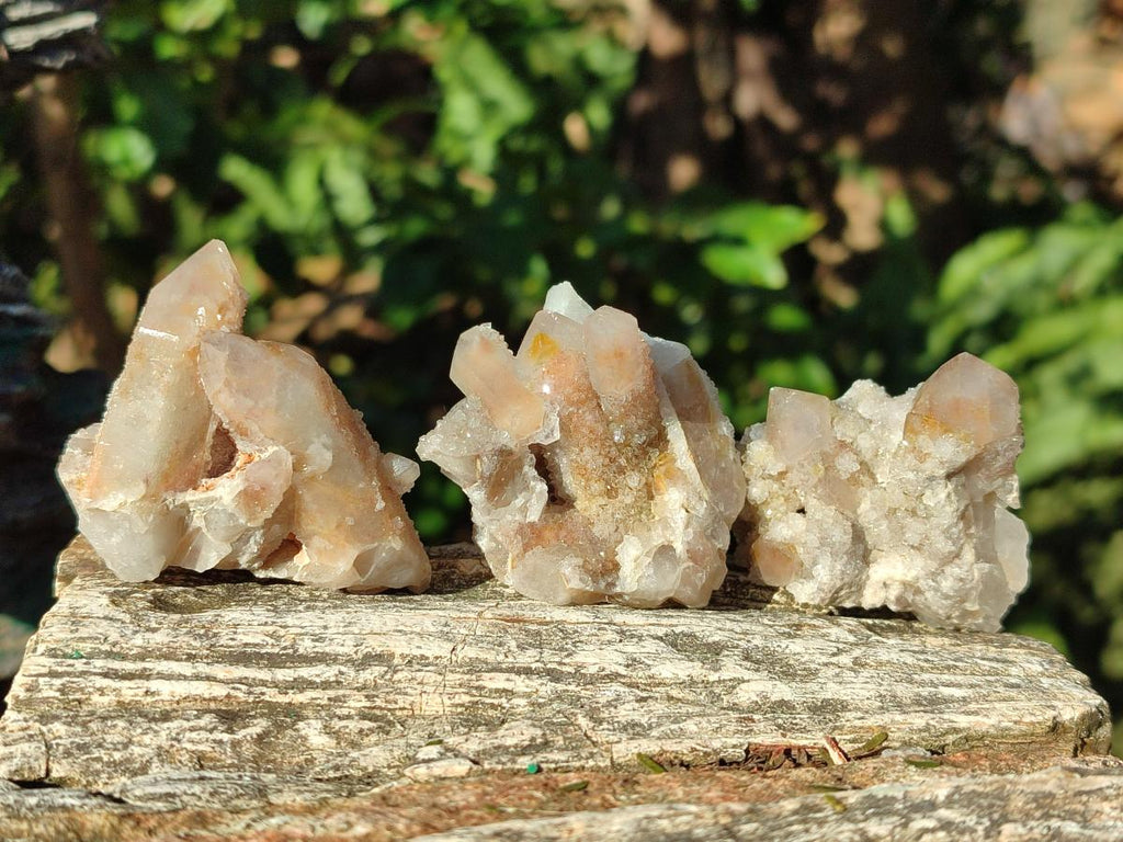 Natural Smokey Fairy Spirit Quartz Crystals and Clusters with Hematoid Coating x 25 From Boekenhouthoek, South Africa - Toprock Gemstones and Minerals 
