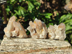 Natural Smokey Fairy Spirit Quartz Crystals and Clusters with Hematoid Coating x 25 From Boekenhouthoek, South Africa - Toprock Gemstones and Minerals 