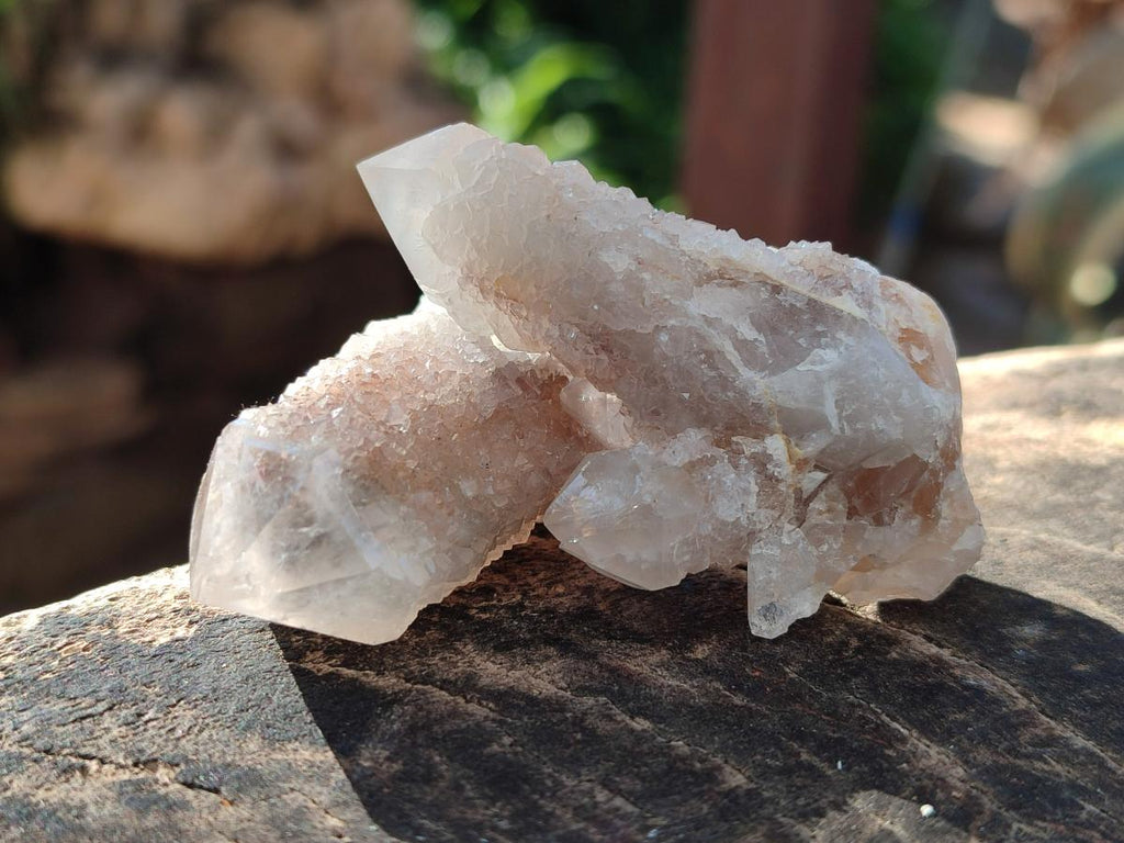 Natural Smokey Fairy Spirit Quartz Crystals and Clusters with Hematoid Coating x 25 From Boekenhouthoek, South Africa - Toprock Gemstones and Minerals 