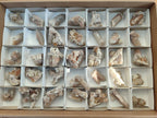 Natural Smokey Fairy Spirit Quartz Crystals and Clusters with Hematoid Coating x 25 From Boekenhouthoek, South Africa - Toprock Gemstones and Minerals 