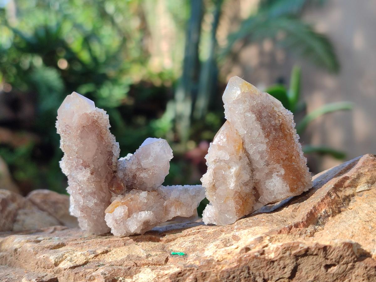 Natural Smokey Fairy Spirit Quartz Crystals and Clusters with Hematoid Coating x 25 From Boekenhouthoek, South Africa