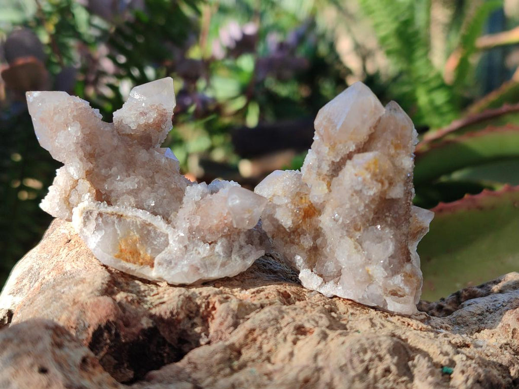 Natural Smokey Fairy Spirit Quartz Crystals and Clusters with Hematoid Coating x 25 From Boekenhouthoek, South Africa - Toprock Gemstones and Minerals 