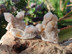 Natural Smokey Fairy Spirit Quartz Crystals and Clusters with Hematoid Coating x 25 From Boekenhouthoek, South Africa - Toprock Gemstones and Minerals 