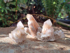 Natural Smokey Fairy Spirit Quartz Crystals and Clusters with Hematoid Coating x 25 From Boekenhouthoek, South Africa - Toprock Gemstones and Minerals 