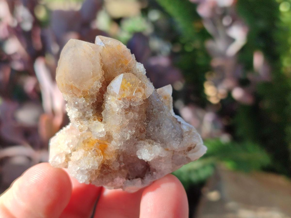 Natural Smokey Fairy Spirit Quartz Crystals and Clusters with Hematoid Coating x 25 From Boekenhouthoek, South Africa - Toprock Gemstones and Minerals 