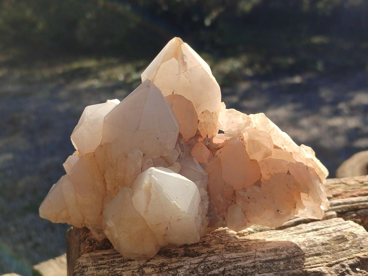 Natural Cascading "Anananas" Candle Quartz Clusters x 2 From Antsirabe, Madagascar - Toprock Gemstones and Minerals 