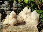 Natural Cascading "Anananas" Candle Quartz Clusters x 2 From Antsirabe, Madagascar - Toprock Gemstones and Minerals 