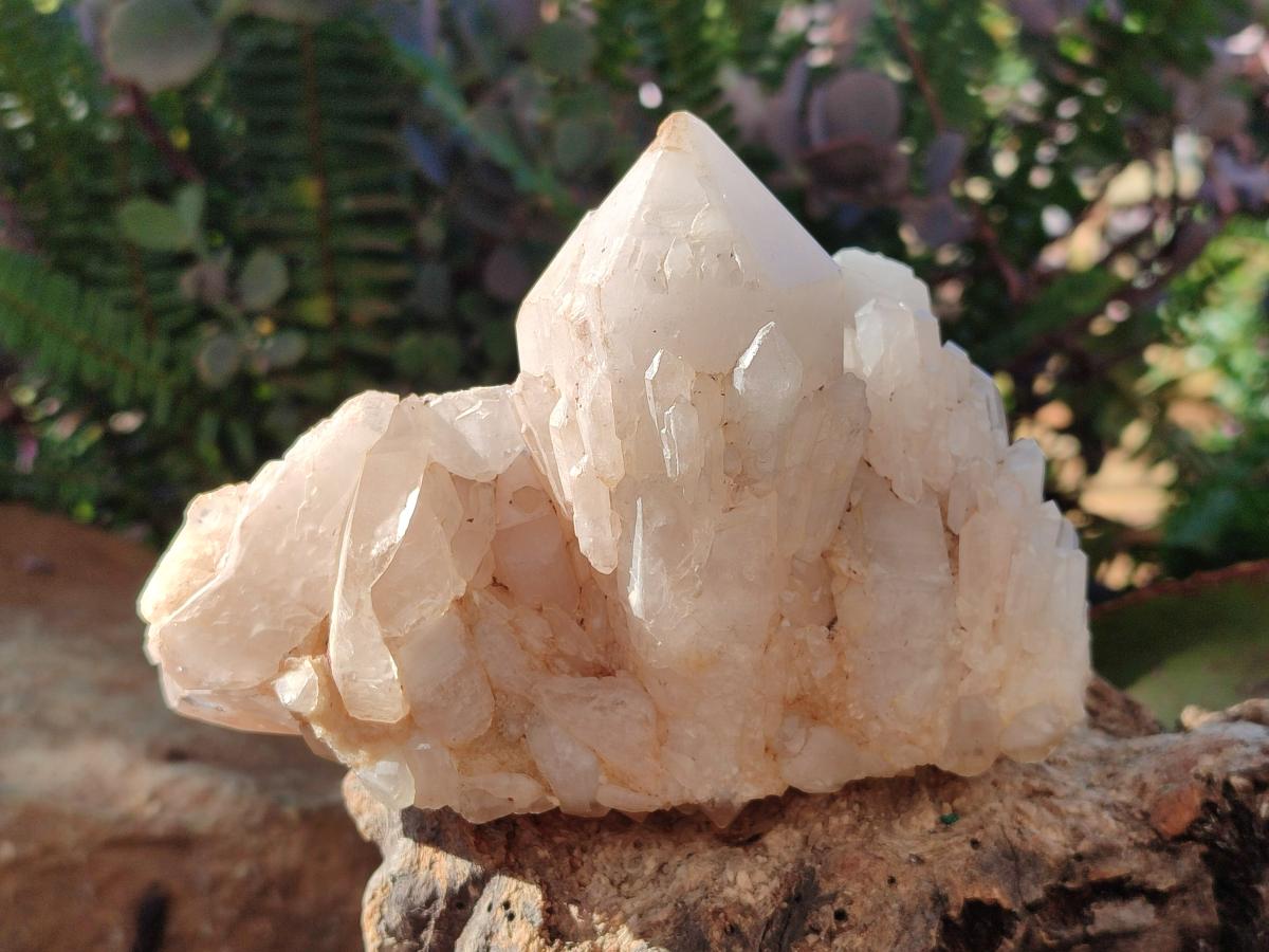 Natural Cascading "Anananas" Candle Quartz Clusters x 2 From Antsirabe, Madagascar - Toprock Gemstones and Minerals 