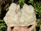 Natural Cascading "Anananas" Candle Quartz Clusters x 2 From Antsirabe, Madagascar - Toprock Gemstones and Minerals 