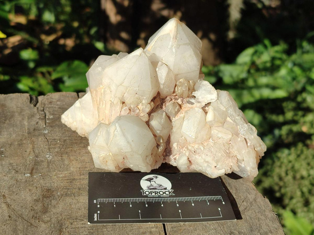 Natural Cascading "Anananas" Candle Quartz Clusters x 2 From Antsirabe, Madagascar - Toprock Gemstones and Minerals 