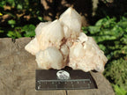 Natural Cascading "Anananas" Candle Quartz Clusters x 2 From Antsirabe, Madagascar - Toprock Gemstones and Minerals 