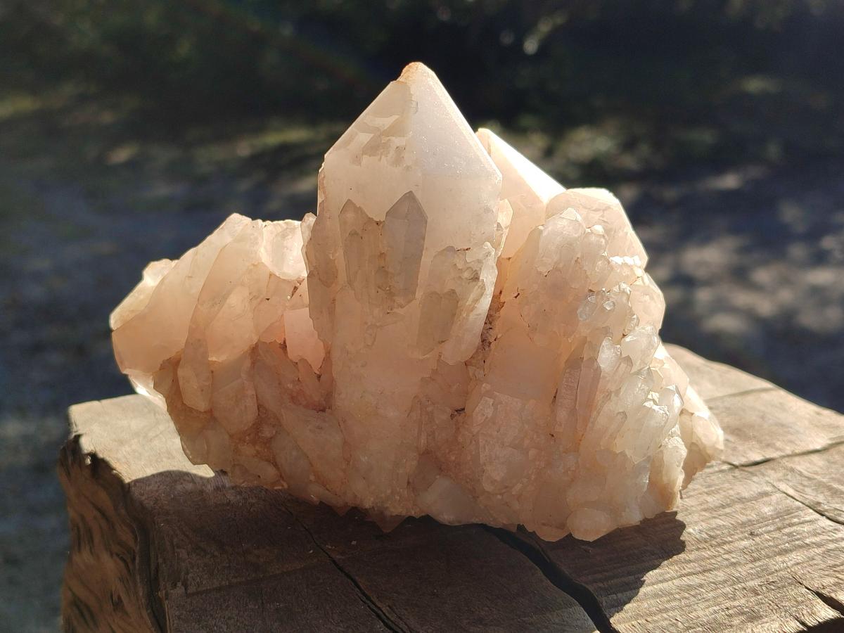 Natural Cascading "Anananas" Candle Quartz Clusters x 2 From Antsirabe, Madagascar - Toprock Gemstones and Minerals 