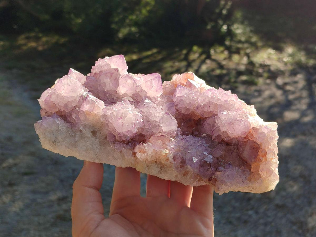 Natural Large Cabinet Size Spirit Amethyst Cluster x 1 From Boekenhouthoek, South Africa - Toprock Gemstones and Minerals 